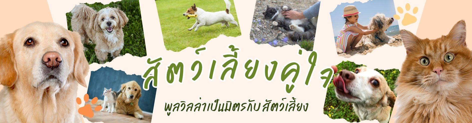 homepage02