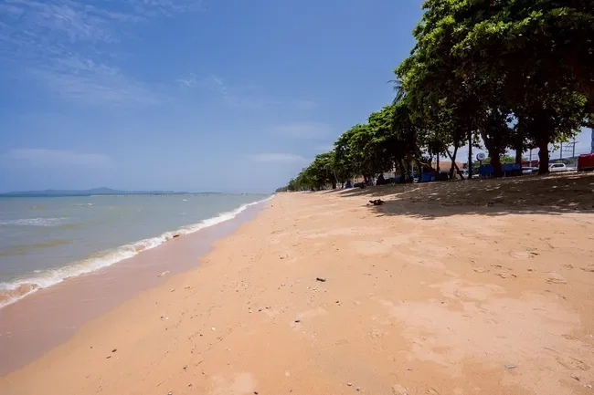 รูปภาพที่ 2